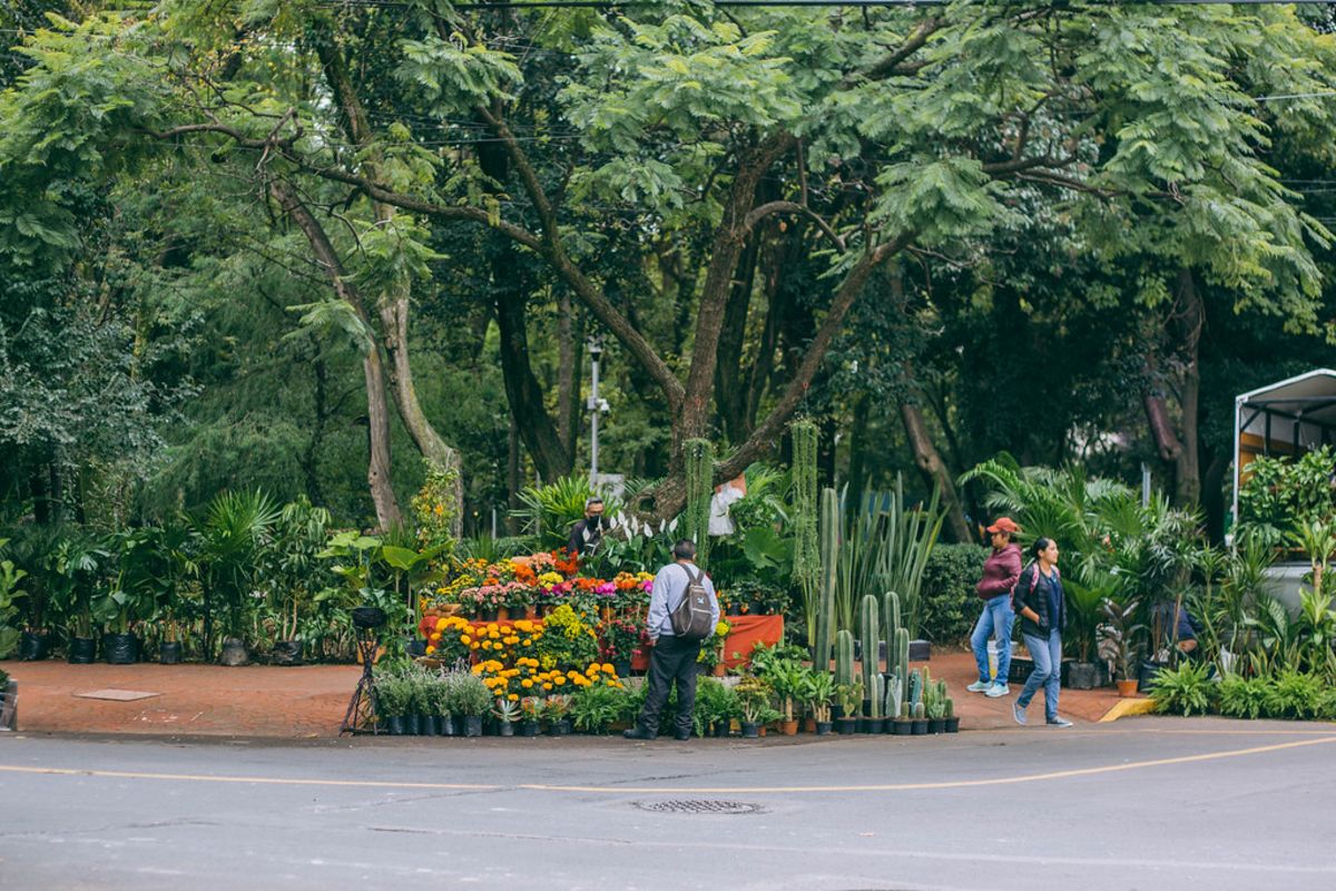 Photos to Inspire You to Visit Roma in Mexico City
