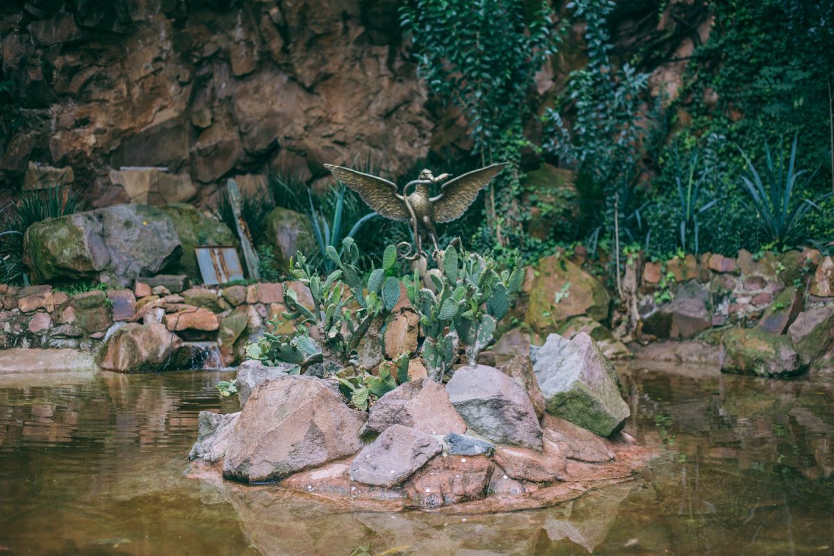 A Photo Walk through Bosque de Chapultepec