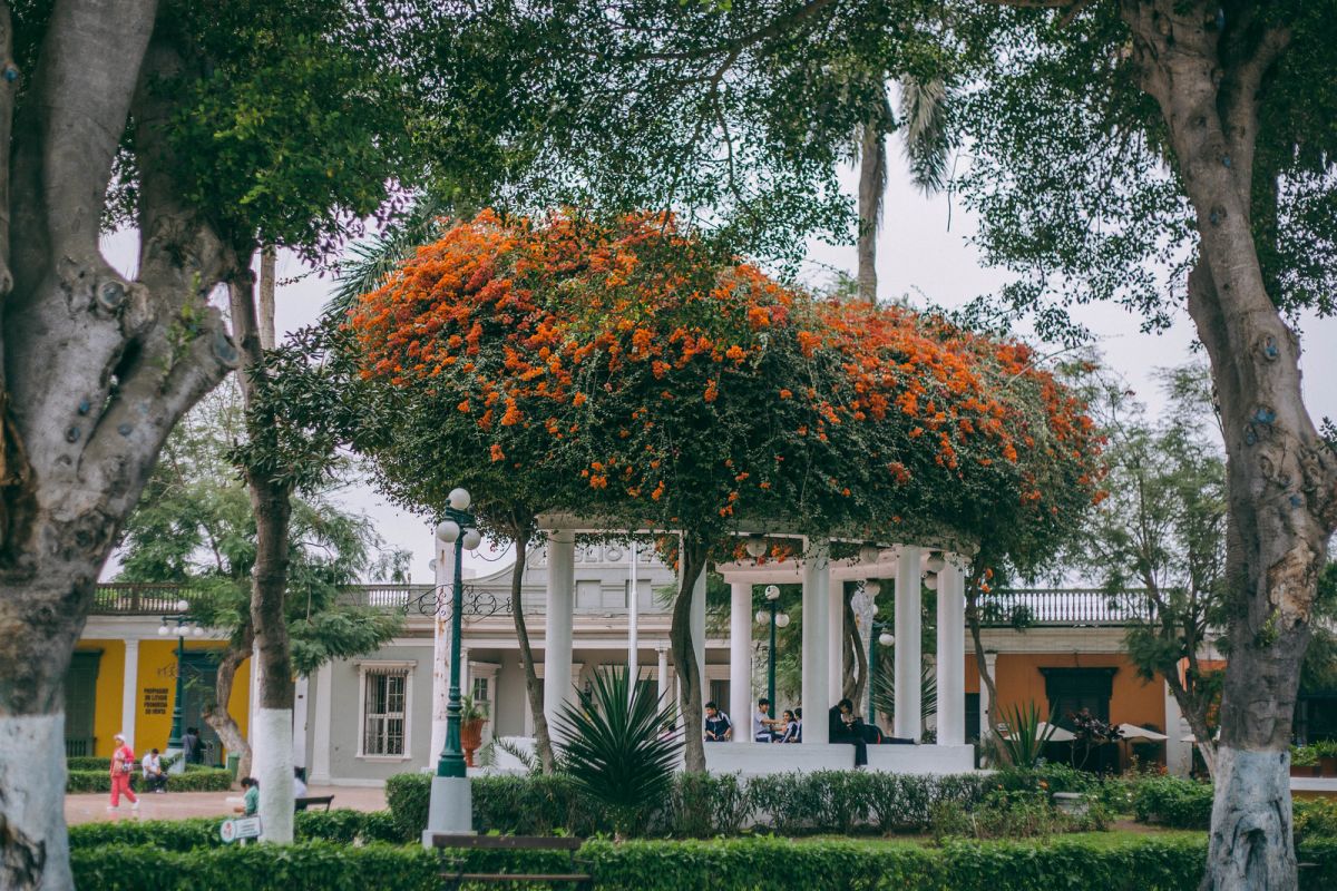 Self-Guided Barranco Walking Tour