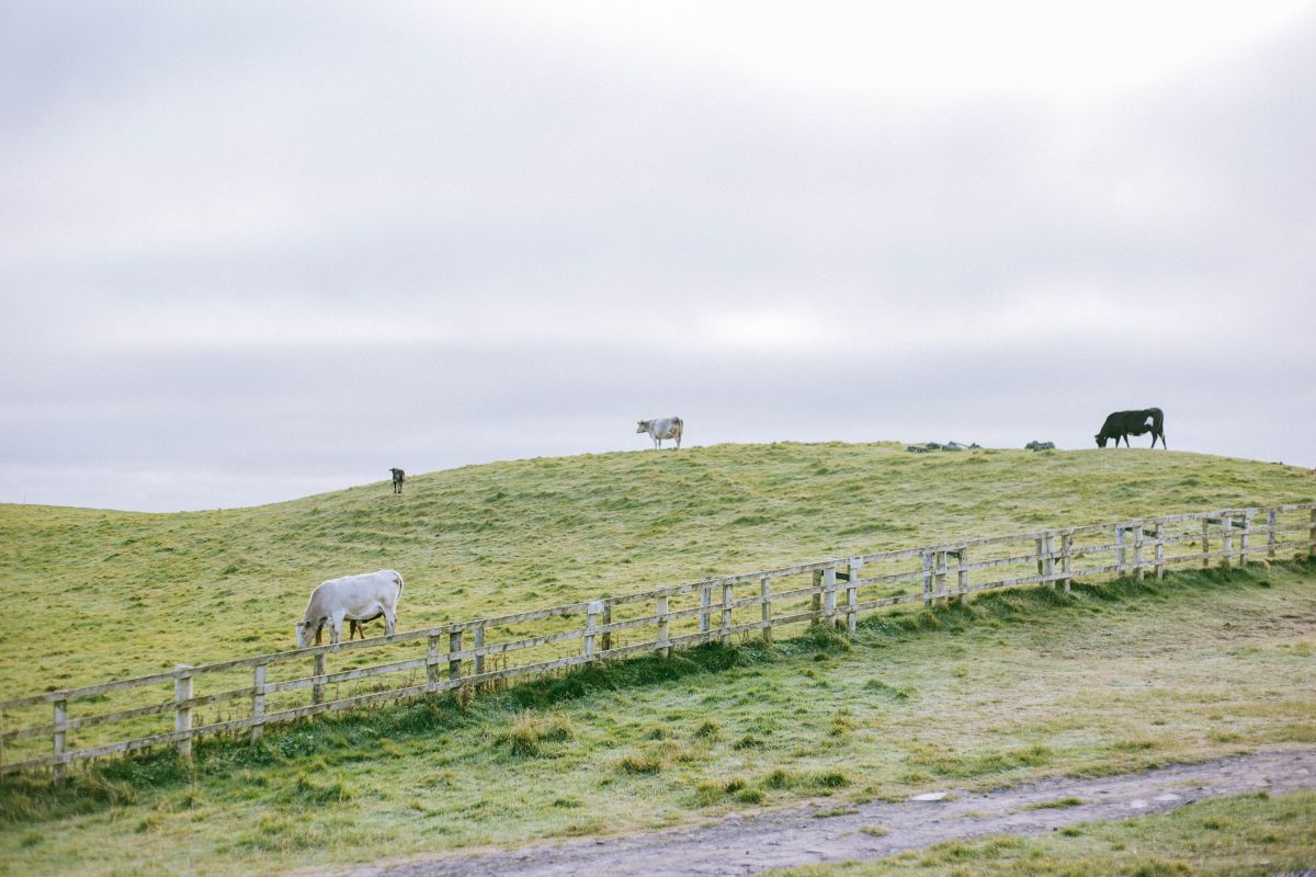 Highlights of County Clare, Ireland