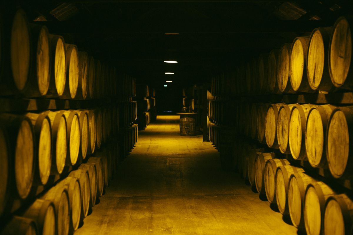 Midleton Distillery Experience & My Favorite Whiskey