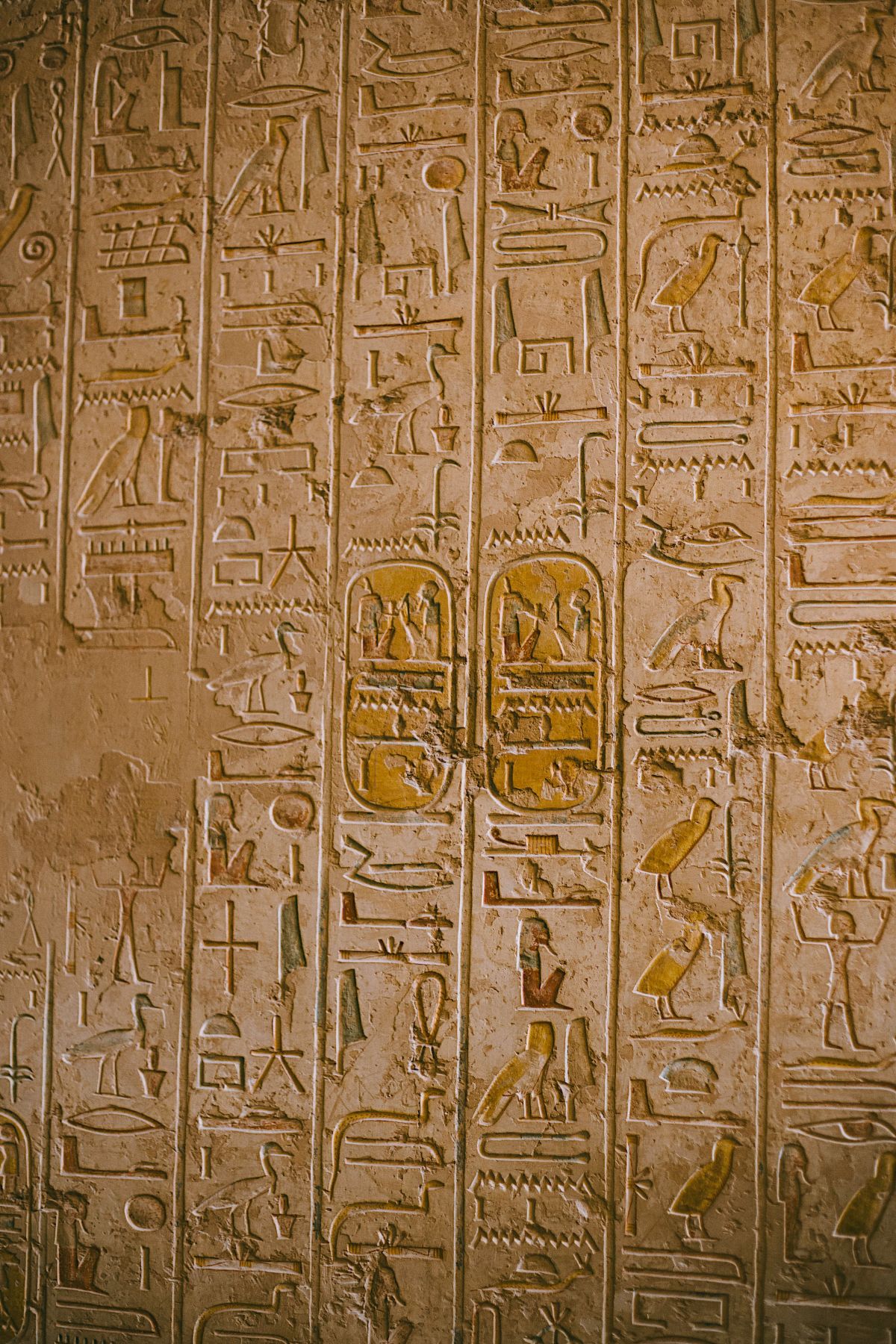 Tombs & Temples of Luxor