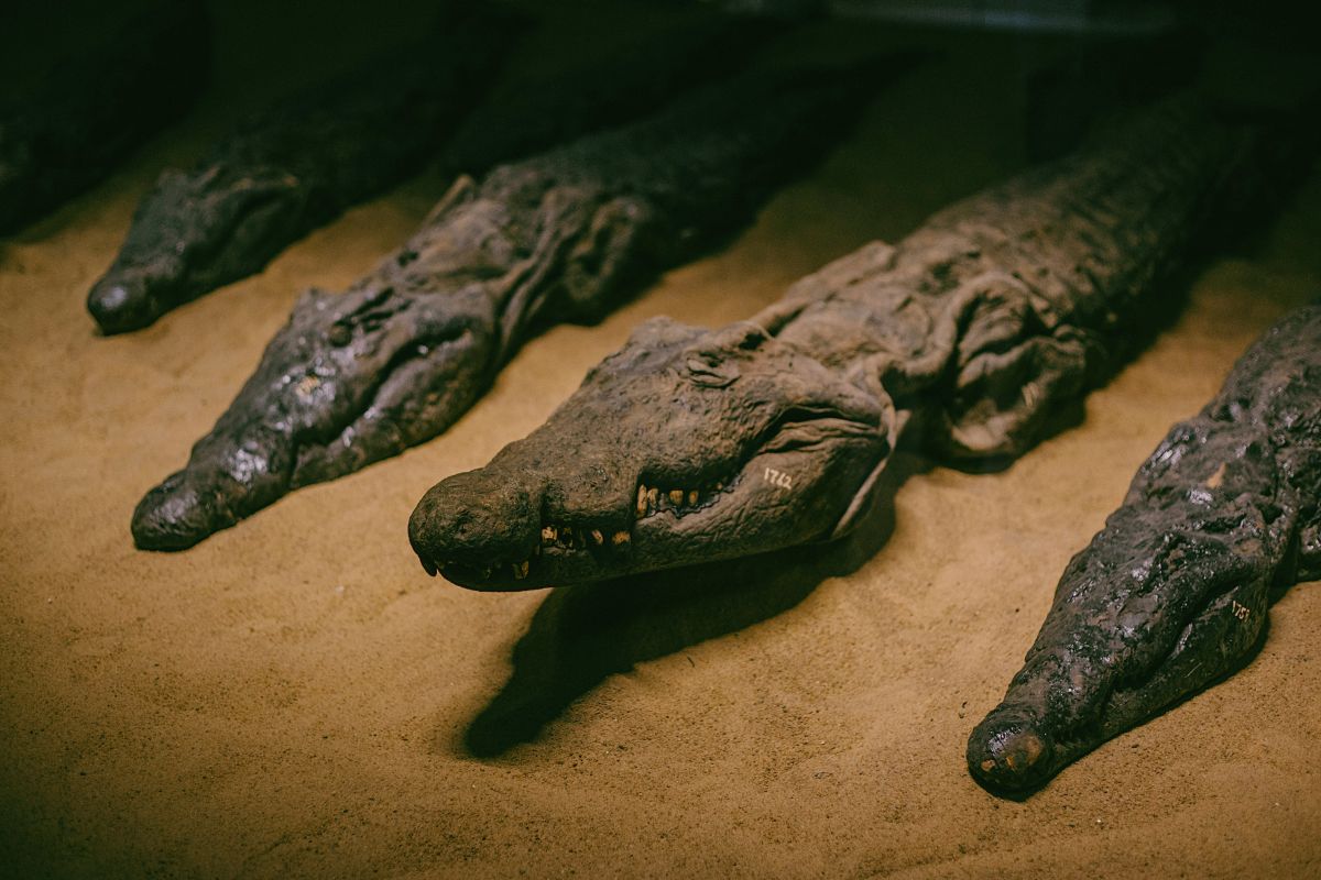 Ruins on the Nile River Valley