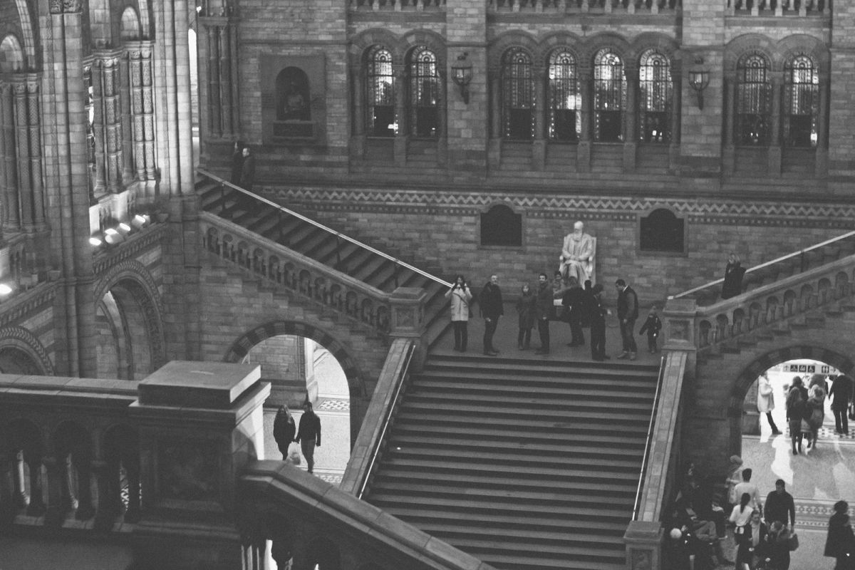 Natural History Museum in London