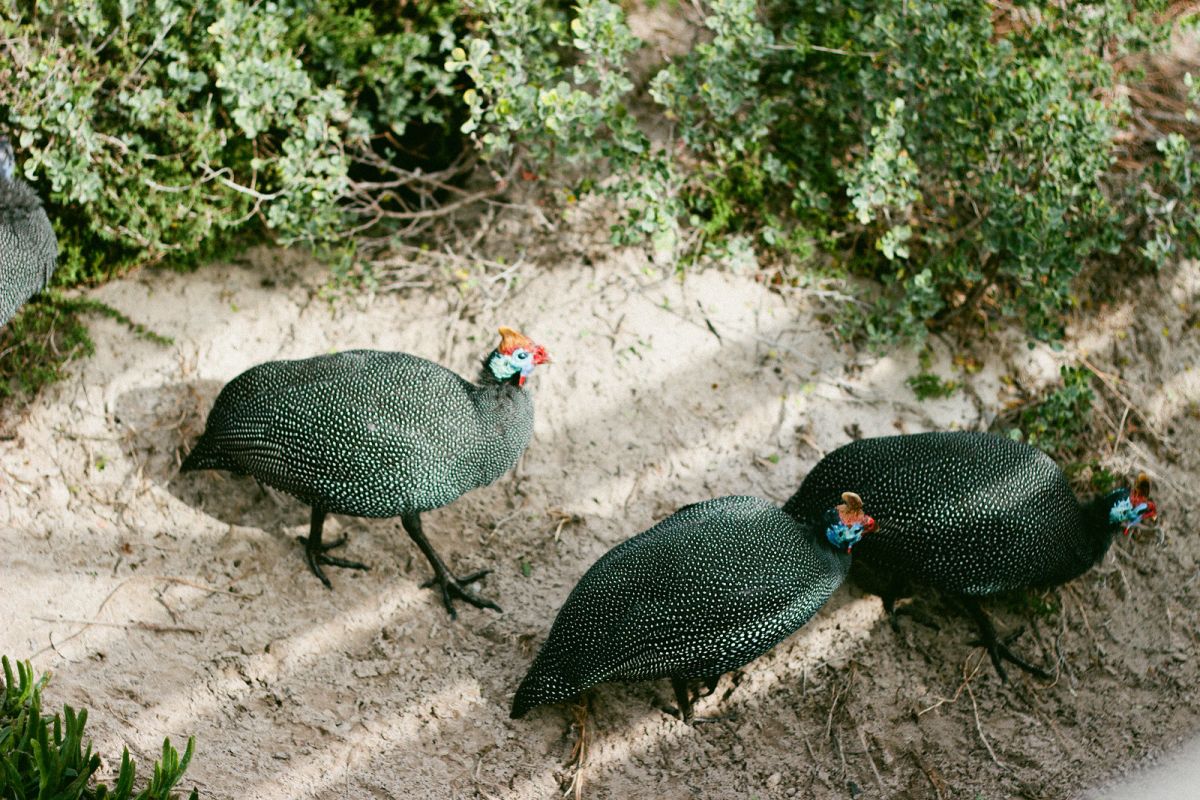 Staying at Bonamanzi Game Reserve in South Africa