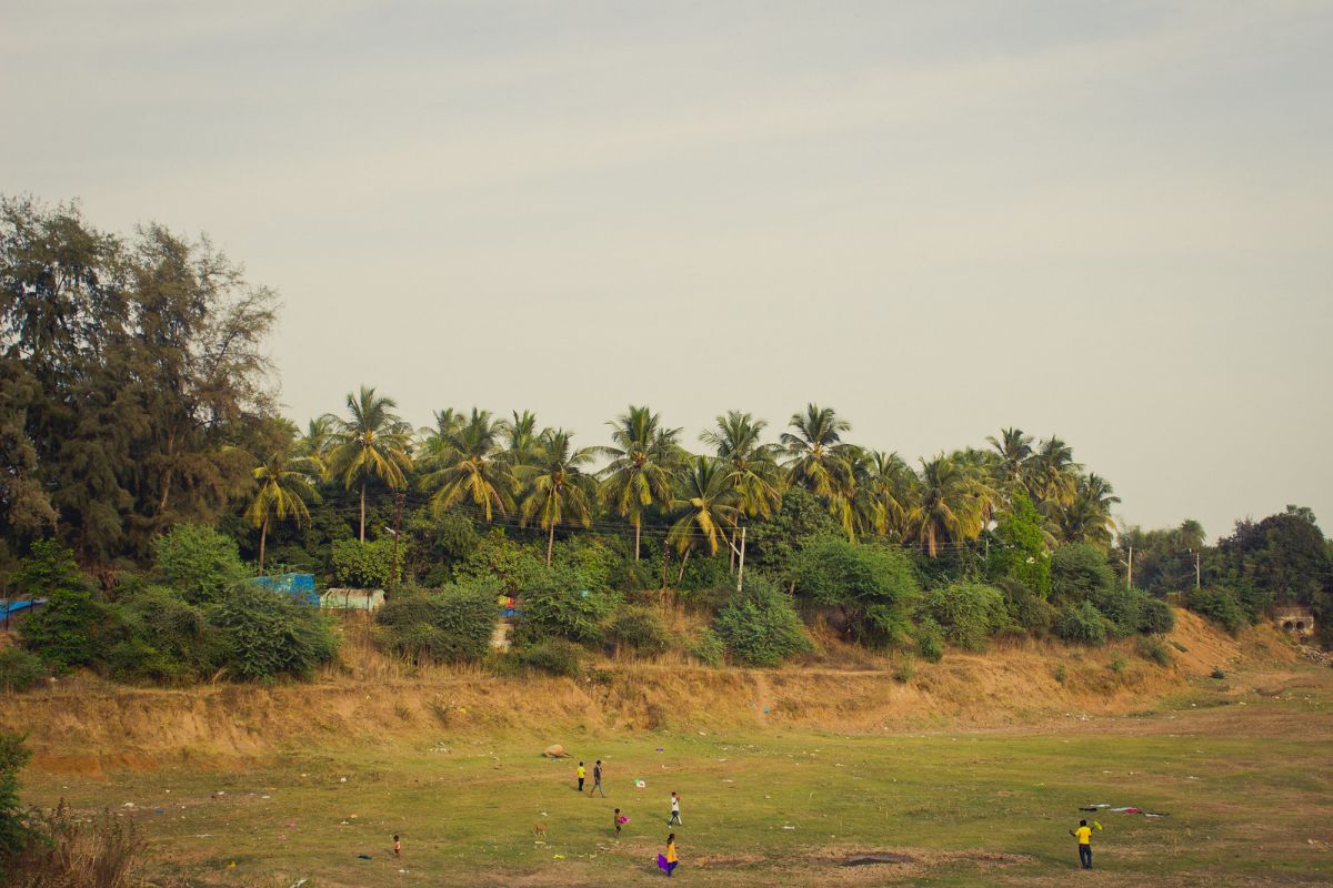 Photos to Inspire You to Visit South Gujarat