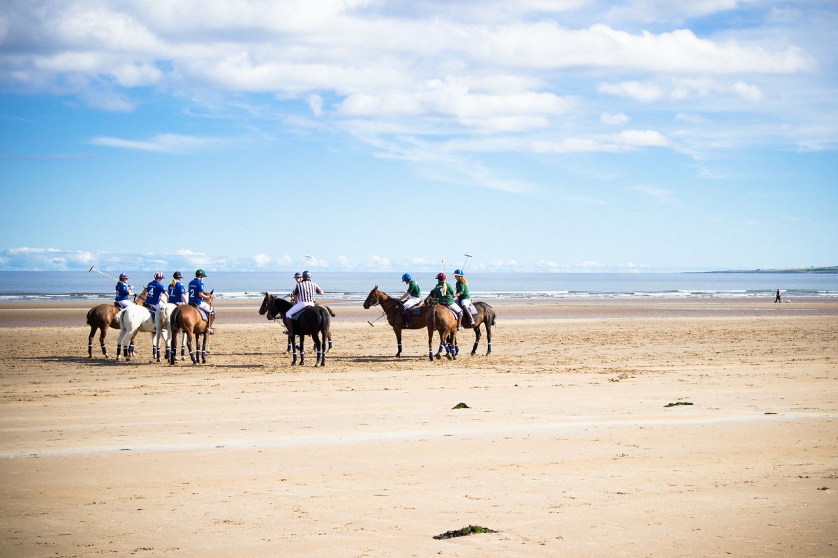 Polo on the Beach