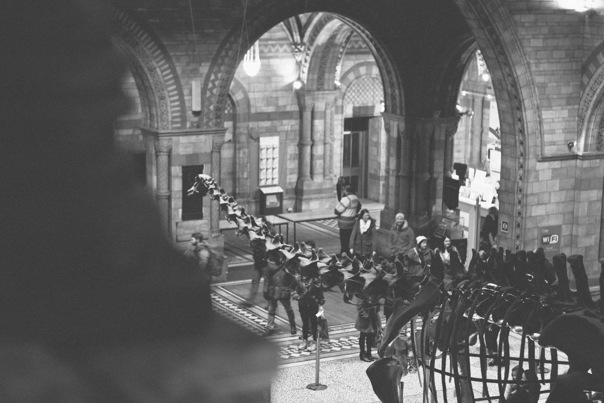 Natural History Museum in London