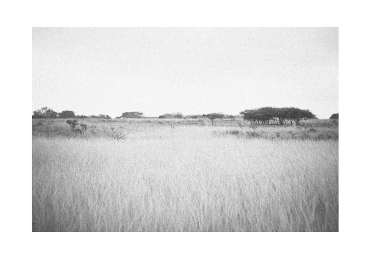 Staying at Bonamanzi Game Reserve in South Africa