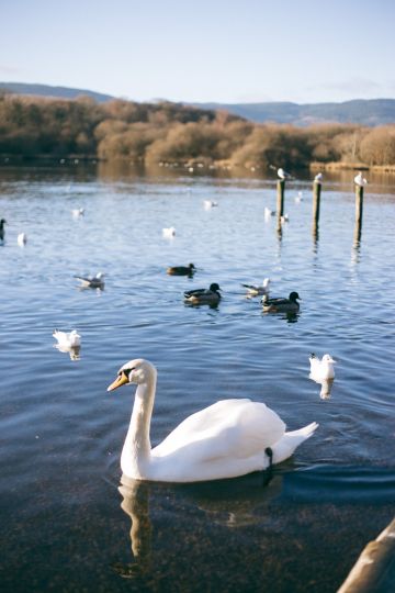 The Lake District