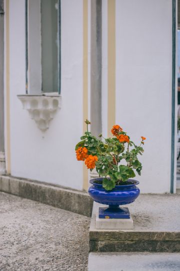 A Day in Bellagio