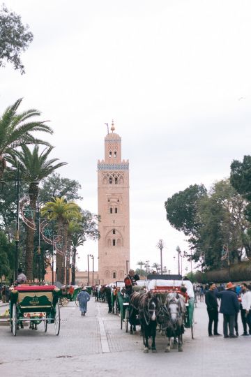 Marrakech City Guide