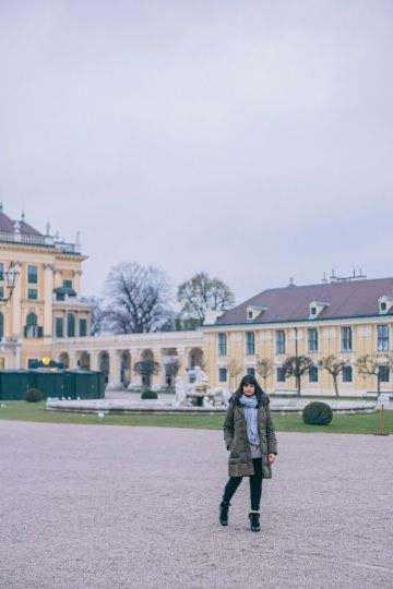 Vienna's Christmas Markets
