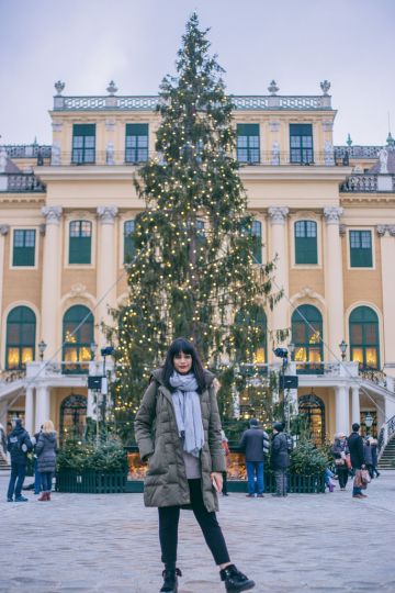 Vienna's Christmas Markets