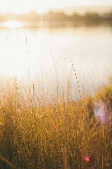 3 Parks to Visit in San Jose, California