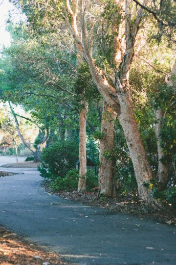 3 Parks to Visit in San Jose, California
