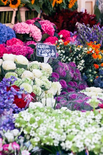 Visiting Columbia Road Flower Market Tips & Advice