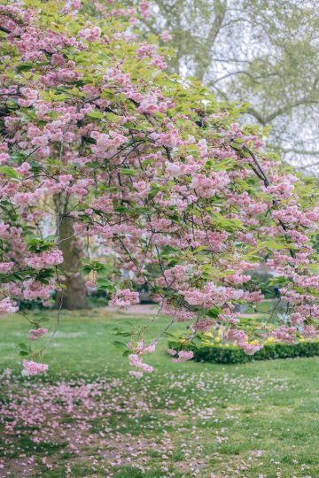 Summer Picnic Essentials: The Eco-Friendly Guide