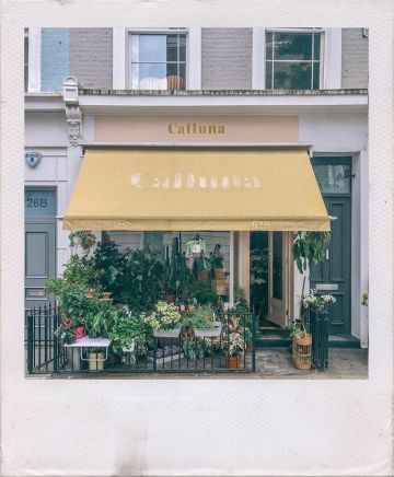 Self Guided Notting Hill Tour & Instagram Guide