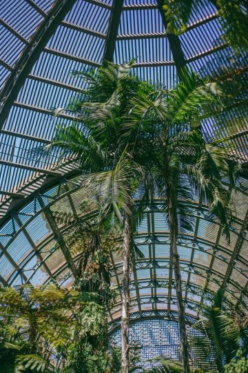 3-Day San Diego Travel Guide