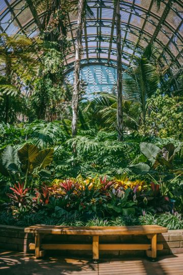 3-Day San Diego Travel Guide
