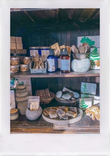 A Girls Day Guide to Laguna Beach, California