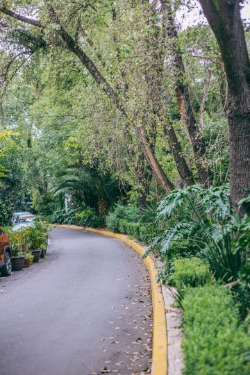 Photos to Inspire You to Visit Roma in Mexico City