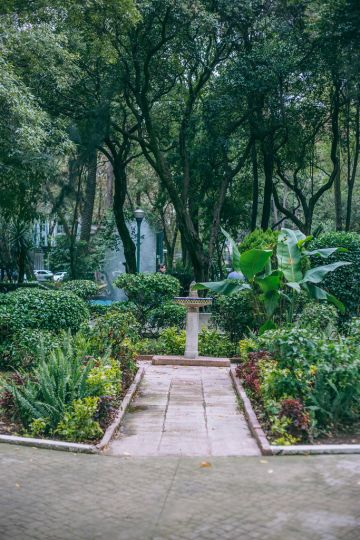 Photos to Inspire You to Visit Roma in Mexico City