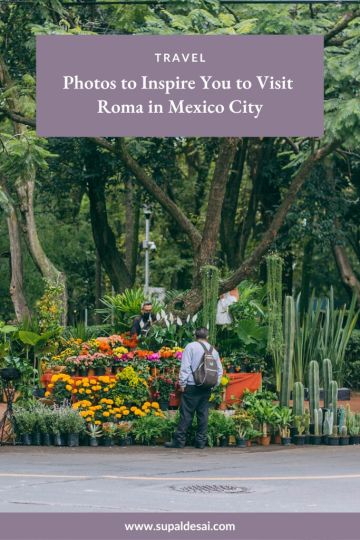 Photos to Inspire You to Visit Roma in Mexico City