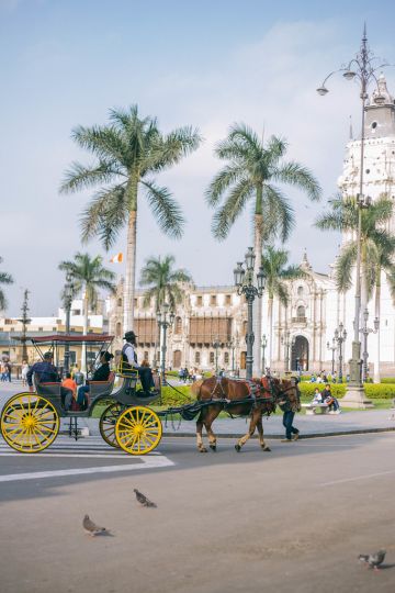 9 Unforgettable Travel Experiences in Lima, Peru