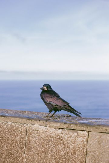 Highlights of County Clare, Ireland