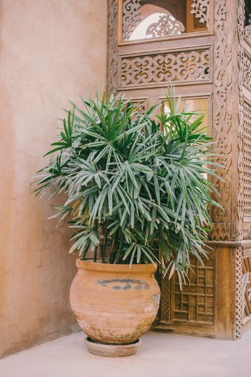 Al Moudira Hotel in Luxor