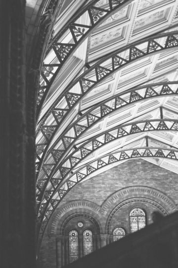 Natural History Museum in London