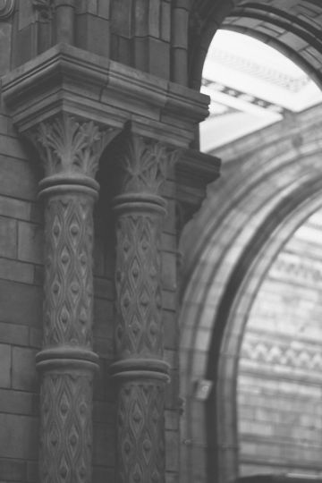 Natural History Museum in London