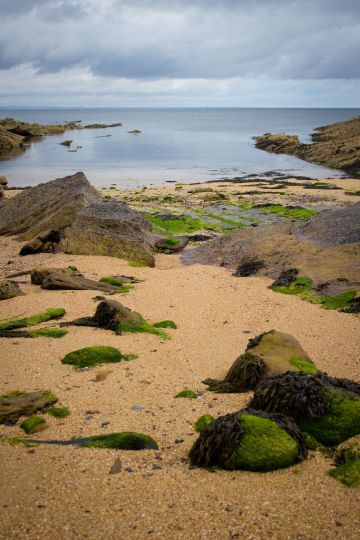 The Fife Coastal Path