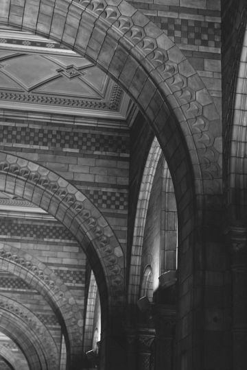 Natural History Museum in London