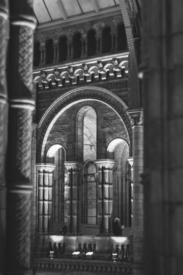 Natural History Museum in London