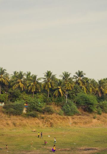 Photos to Inspire You to Visit South Gujarat Cover Image