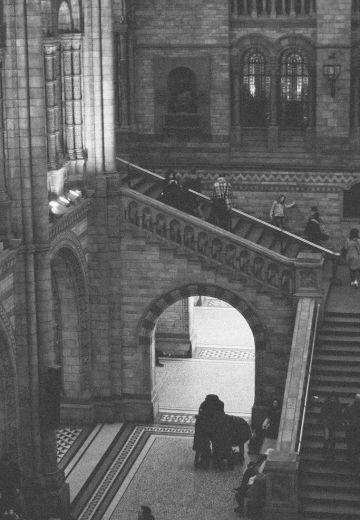 Natural History Museum in London Cover Image