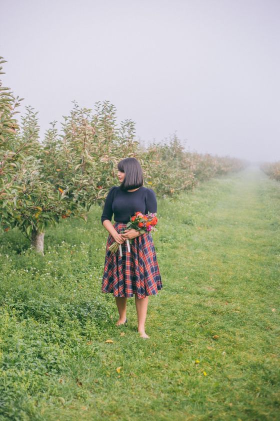 Apple Picking in Kent