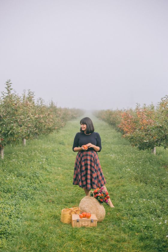 Apple Picking in Kent