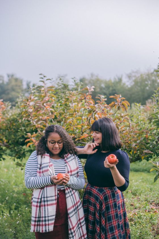 Apple Picking in Kent