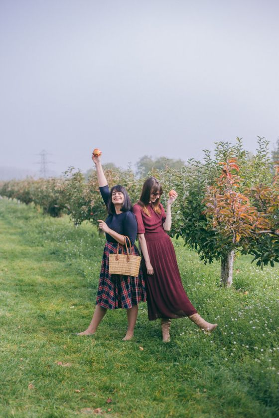 Apple Picking in Kent