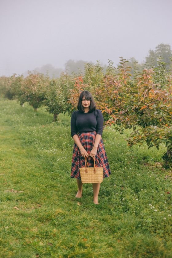 Apple Picking in Kent