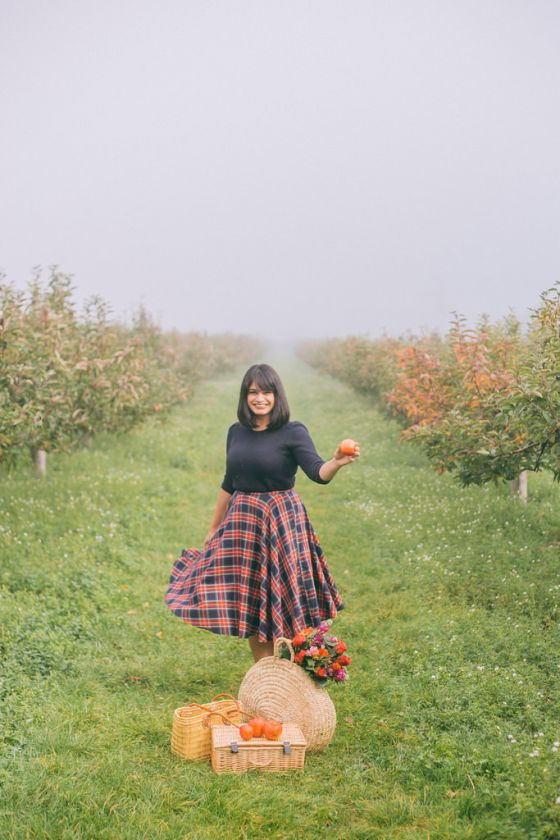 Apple Picking in Kent