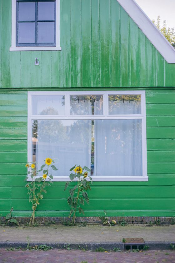 Zaanse Schans: Discover Dutch Windmills