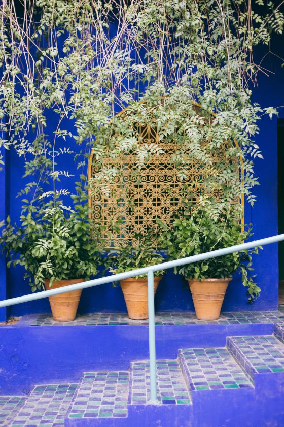 Marrakech City Guide