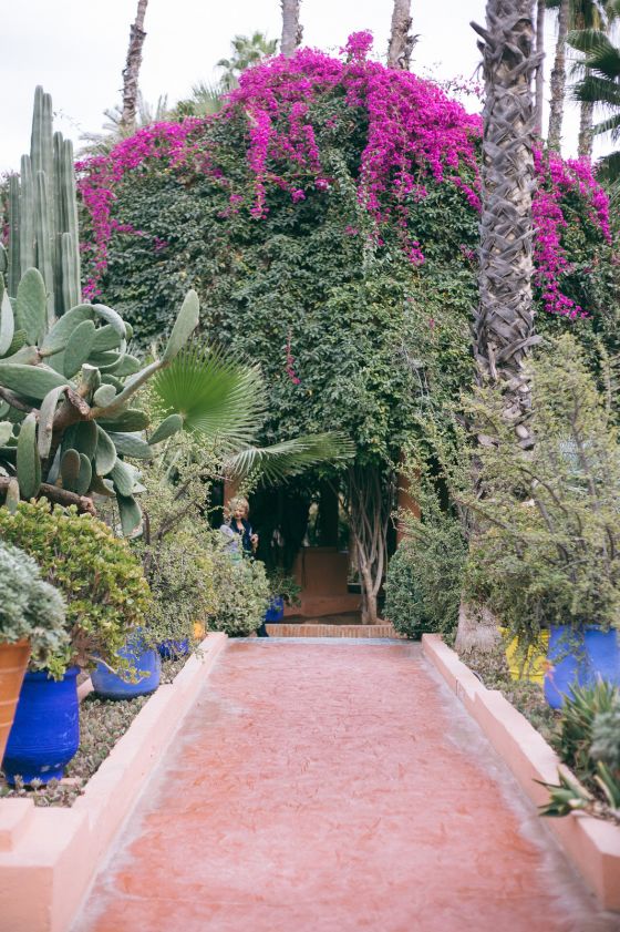 Marrakech City Guide