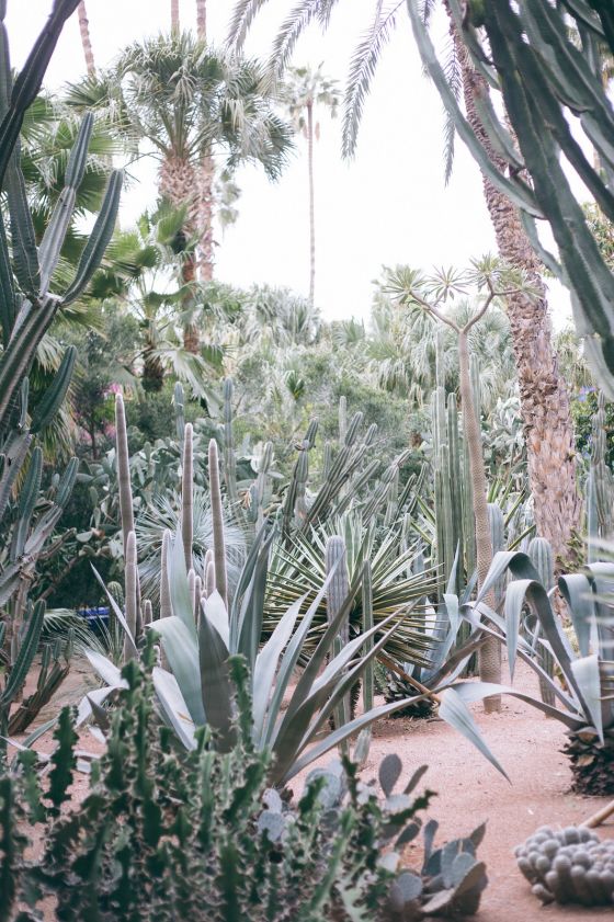 Marrakech City Guide