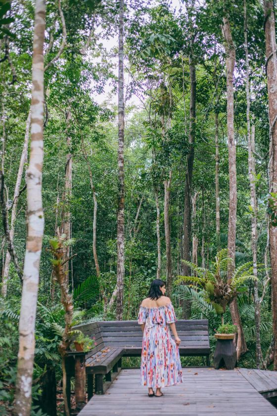 Sabah's Natural Beauty